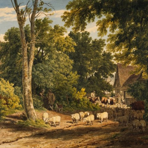 The Ox Cart
