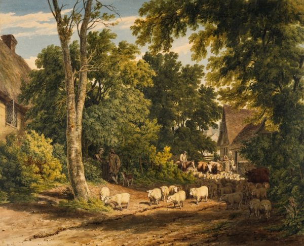 The Ox Cart